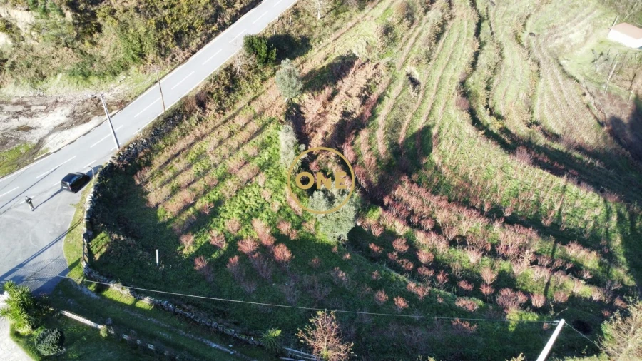 Terreno para Venda em Gondoriz Foto 7