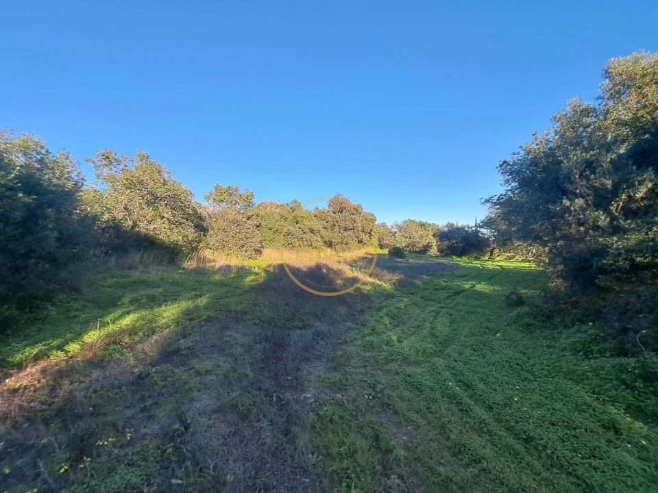 Terreno para Venda em São Brás de Alportel Foto 8