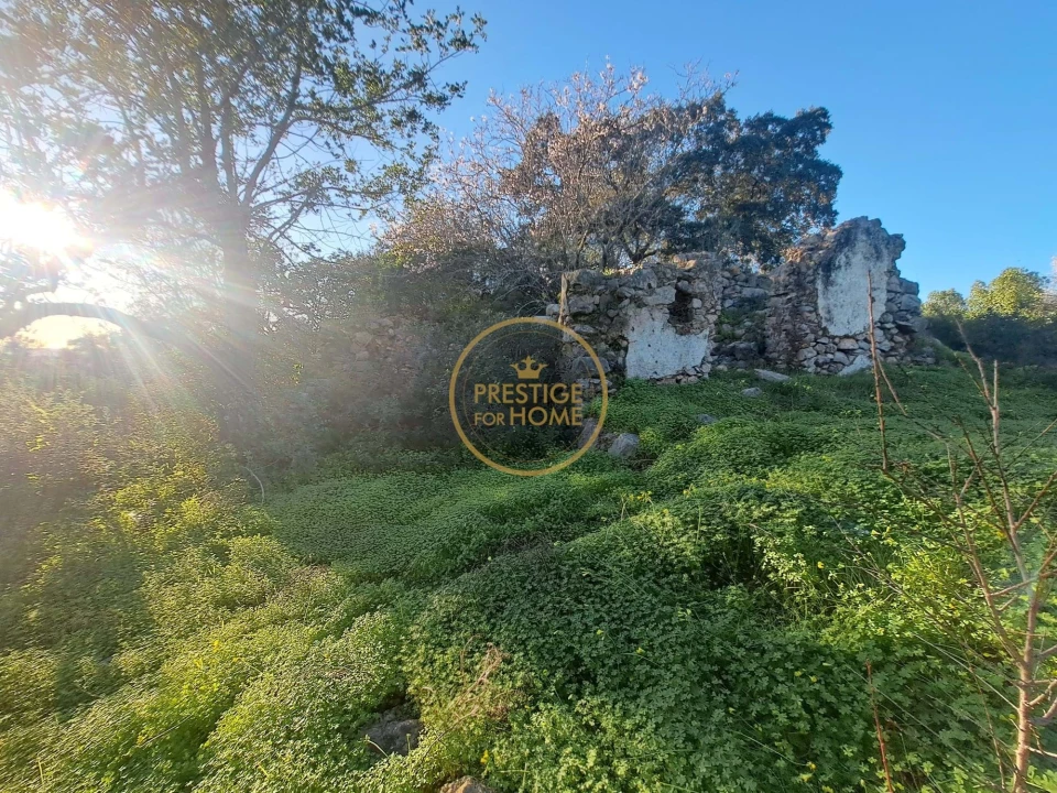 Terreno para Venda em São Brás de Alportel Foto 16