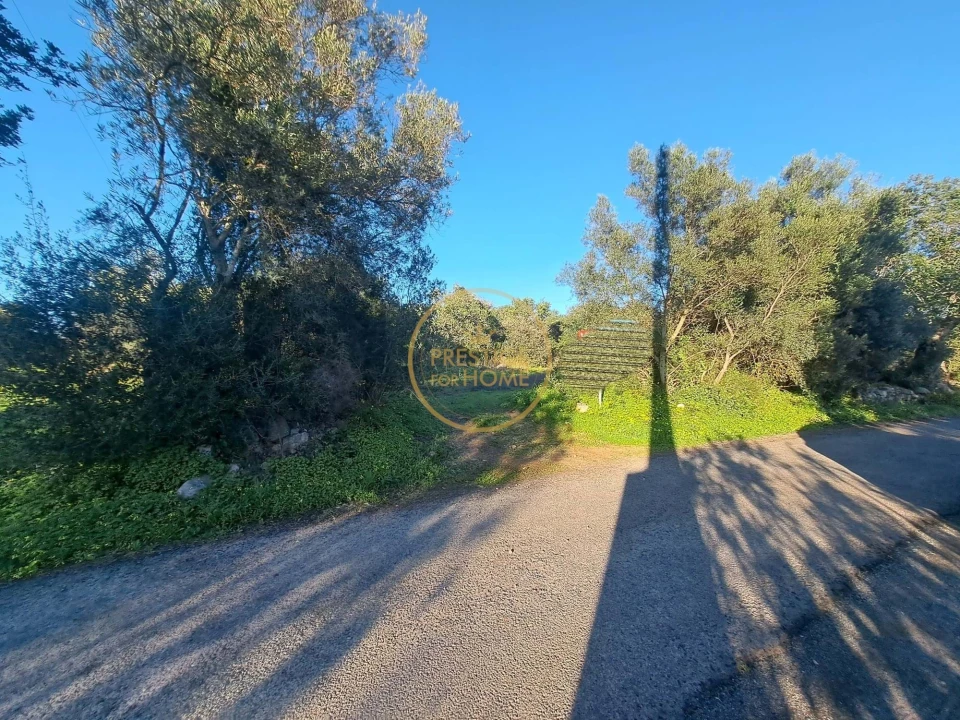 Terreno para Venda em São Brás de Alportel Foto 2