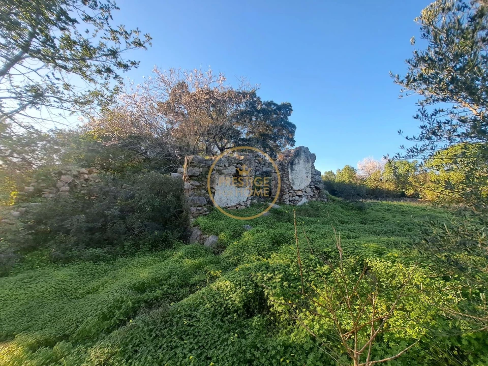 Terreno para Venda em São Brás de Alportel Foto 15