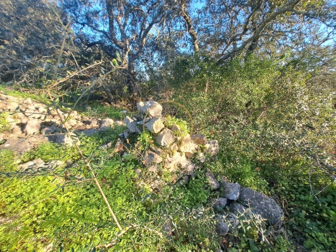 Terreno para Venda em São Brás de Alportel Foto 18