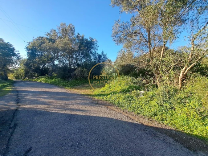 Terreno para Venda em São Brás de Alportel Foto 4