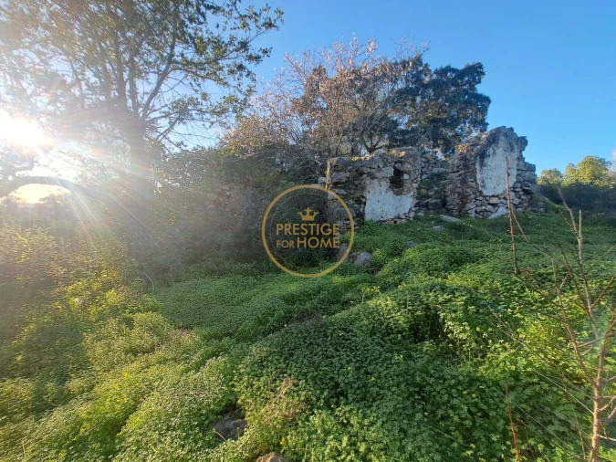 Terreno para Venda em São Brás de Alportel Foto 16