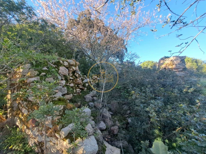 Terreno para Venda em São Brás de Alportel Foto 12