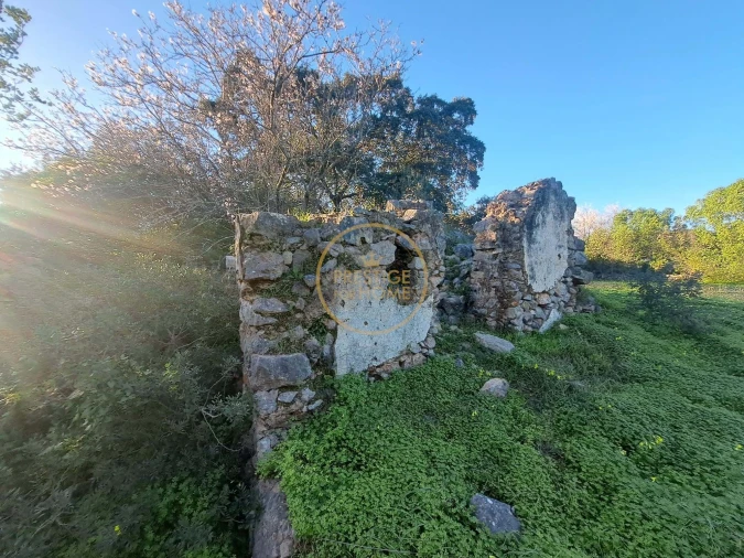 Terreno para Venda em São Brás de Alportel Foto 7