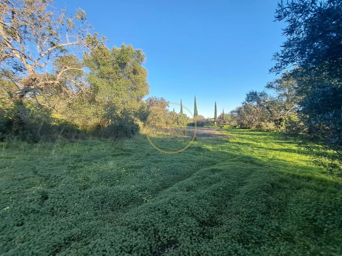 Terreno para Venda em São Brás de Alportel Foto 10