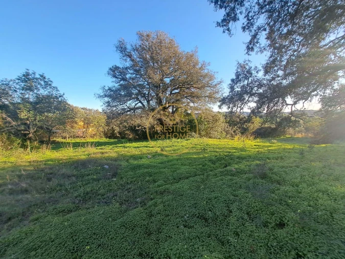 Terreno para Venda em São Brás de Alportel Foto 19