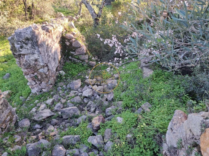 Terreno para Venda em São Brás de Alportel Foto 14