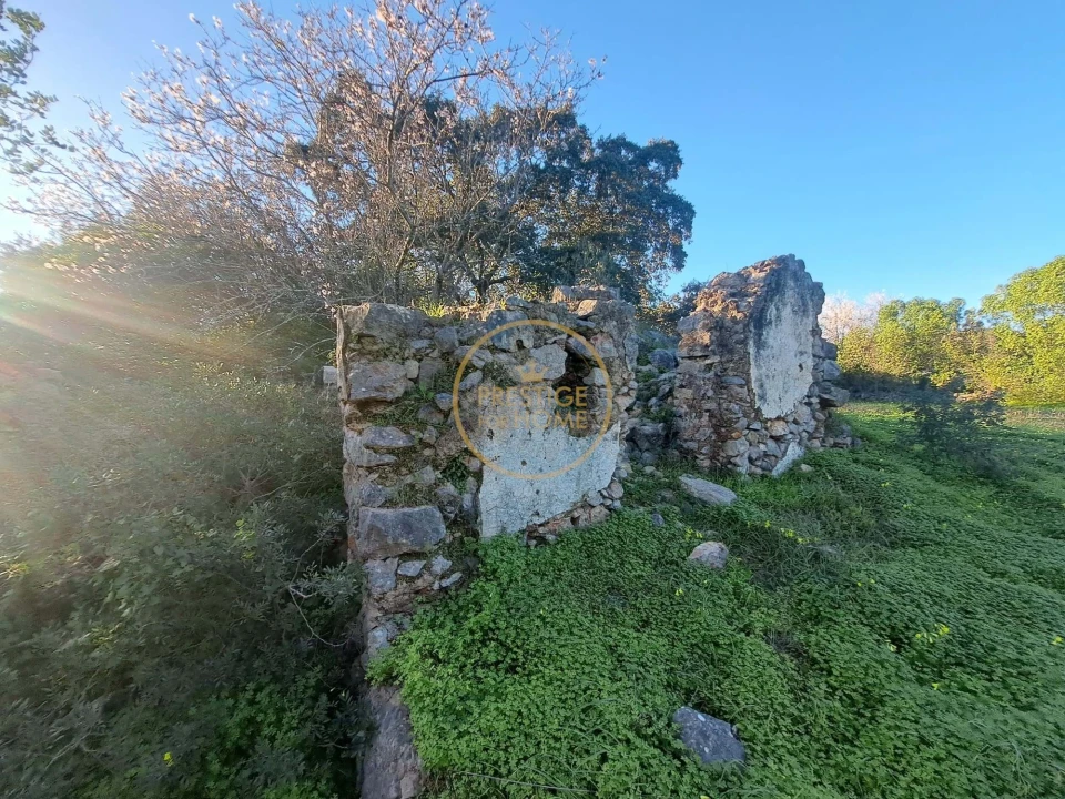 Terreno para Venda em São Brás de Alportel Foto 7