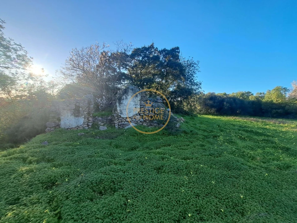 Terreno para Venda em São Brás de Alportel Foto 17