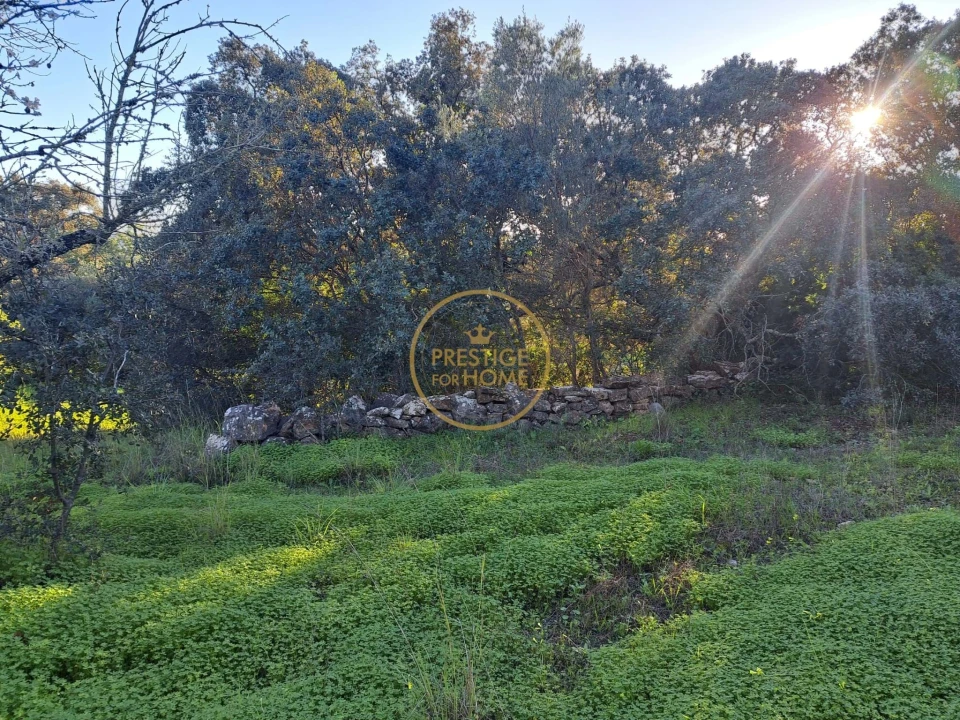Terreno para Venda em São Brás de Alportel Foto 6