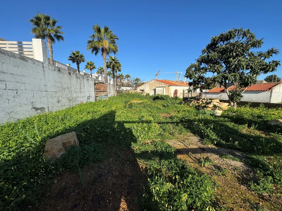 Terreno para Venda em Ferreiras Foto 4
