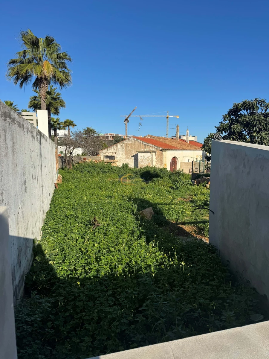 Terreno para Venda em Ferreiras Foto 5
