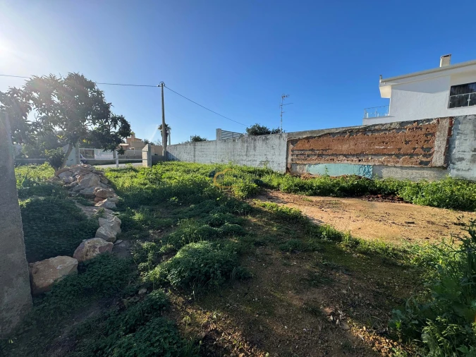 Terreno para Venda em Ferreiras