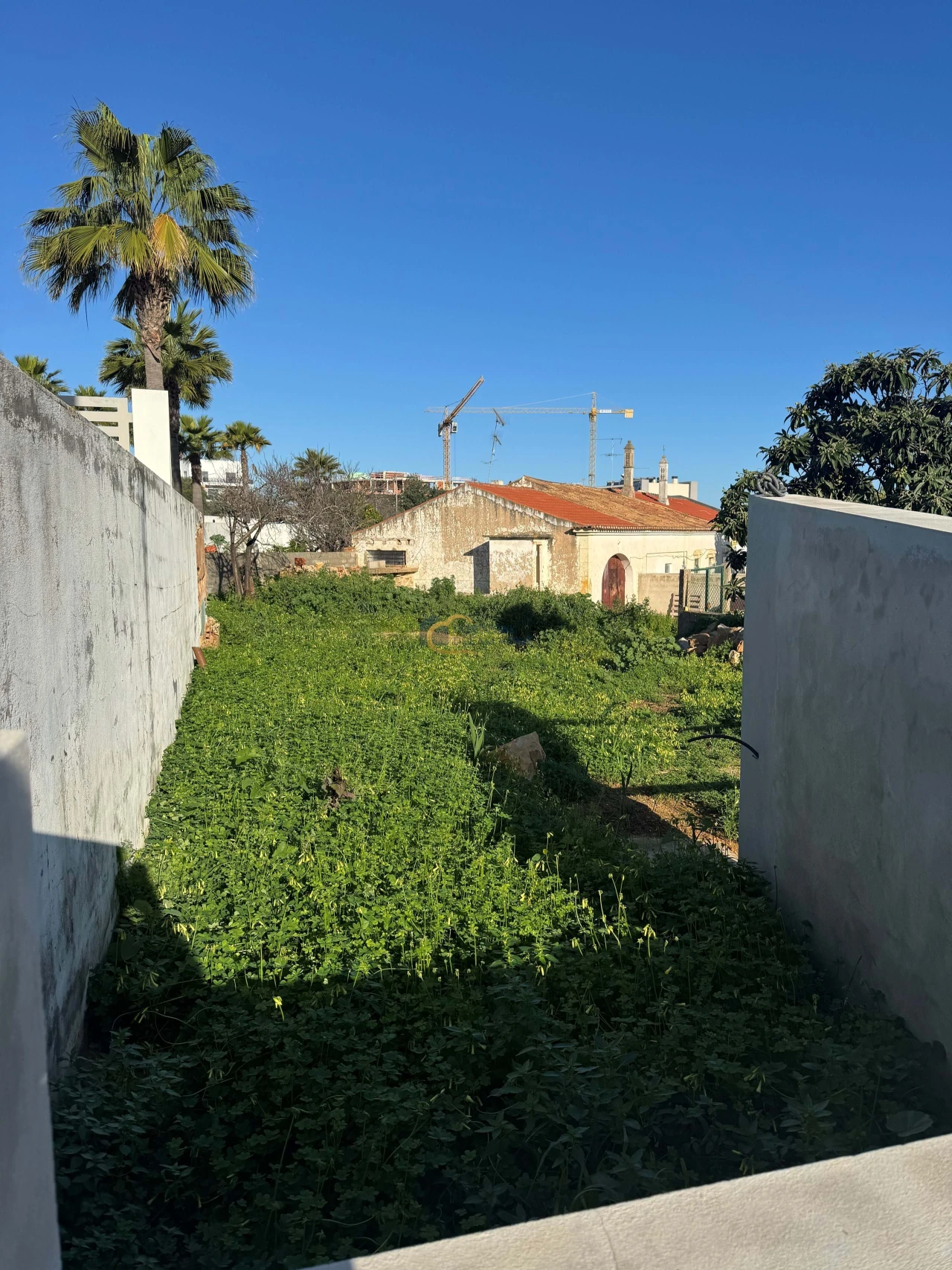 Terreno para Venda em Ferreiras Foto 5