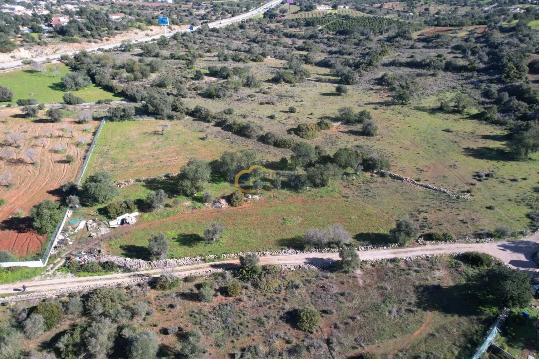 Terreno Agricola ou Rústico para Venda em Ferreiras Foto 2