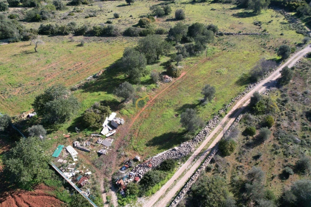 Terreno Agricola ou Rústico para Venda em Ferreiras Foto 5