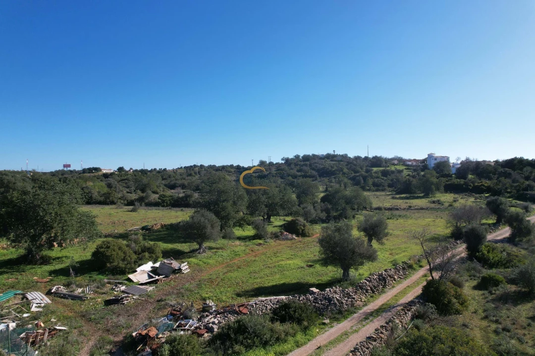 Terreno Agricola ou Rústico para Venda em Ferreiras Foto 9