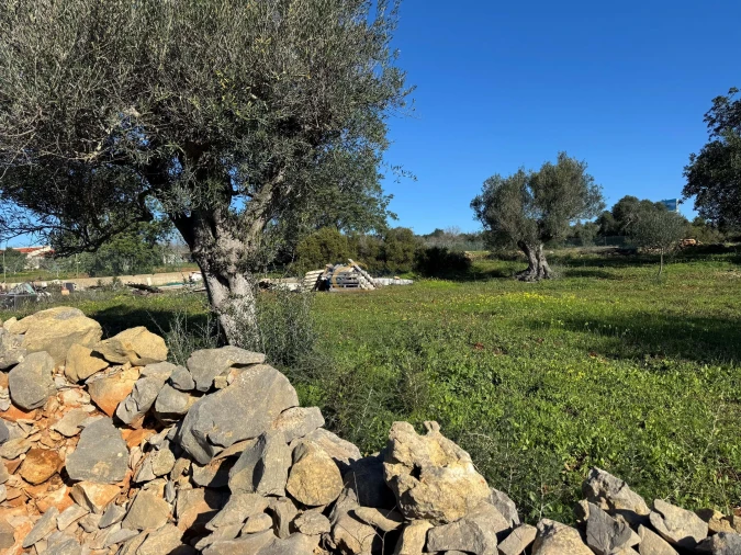 Terreno Agricola ou Rústico para Venda em Ferreiras Foto 16