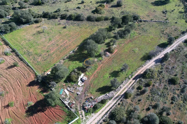 Terreno Agricola ou Rústico para Venda em Ferreiras Foto 12