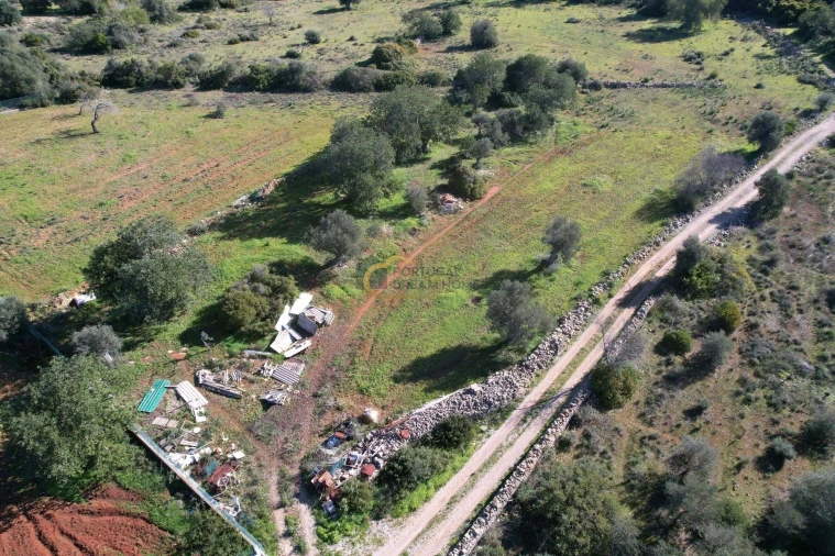 Terreno Agricola ou Rústico para Venda em Ferreiras Foto 6
