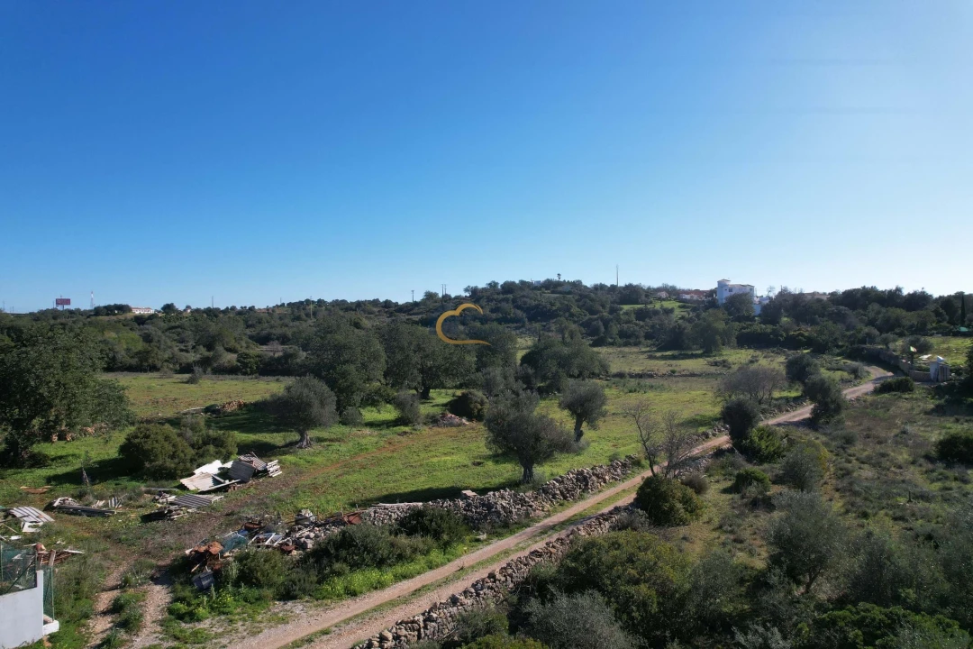 Terreno Agricola ou Rústico para Venda em Ferreiras Foto 10