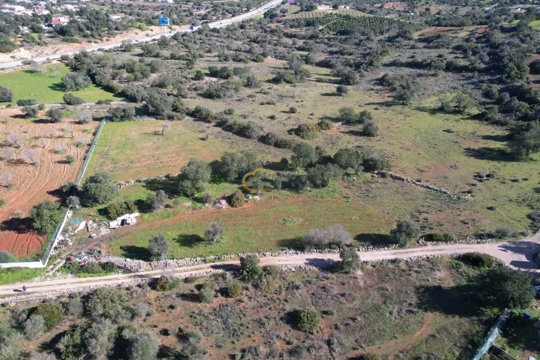 Terreno Agricola ou Rústico para Venda em Ferreiras Foto 14