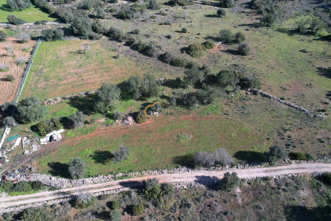 Terreno Agricola ou Rústico para Venda em Ferreiras Foto 3