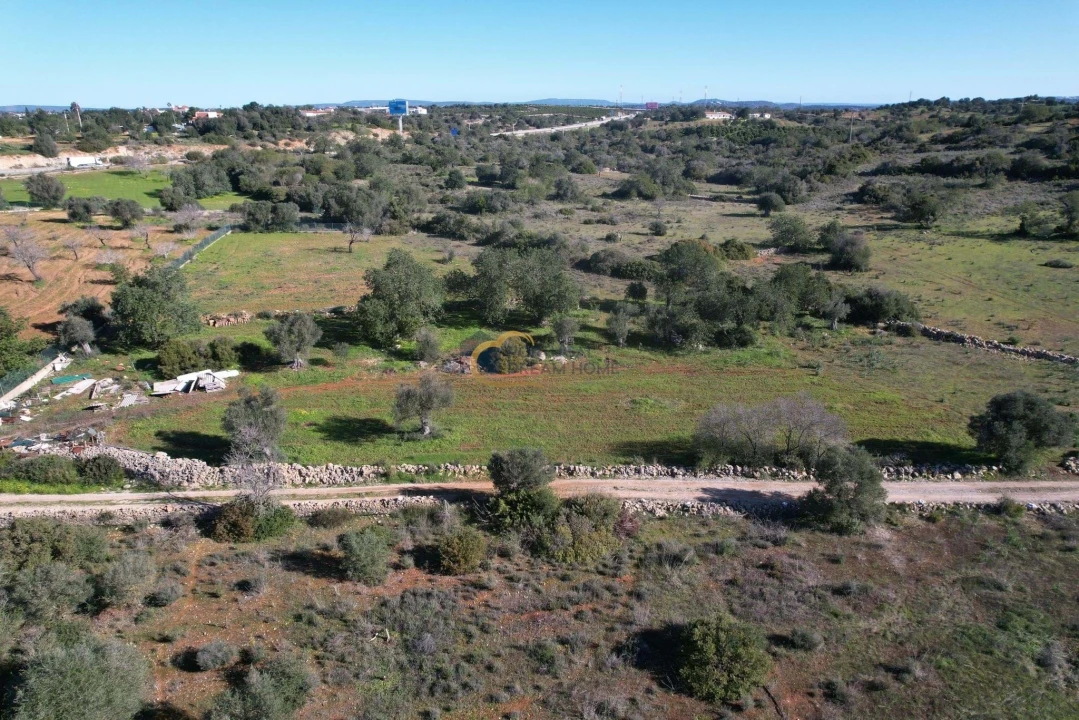 Terreno Agricola ou Rústico para Venda em Ferreiras Foto 1