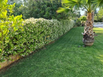 Moradia T4 para Venda em Silves