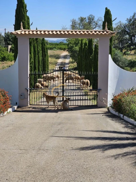Moradia T4 para Venda em Silves