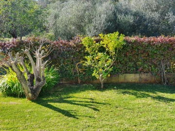 Moradia T4 para Venda em Silves