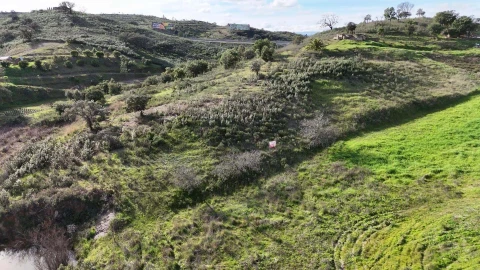 Terreno para Venda em São Bartolomeu de Messines