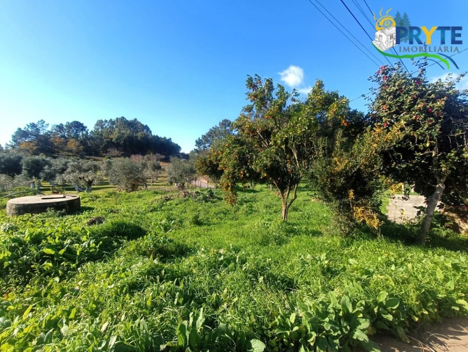 Moradia T5 para Venda em Cabeçudo Foto 39