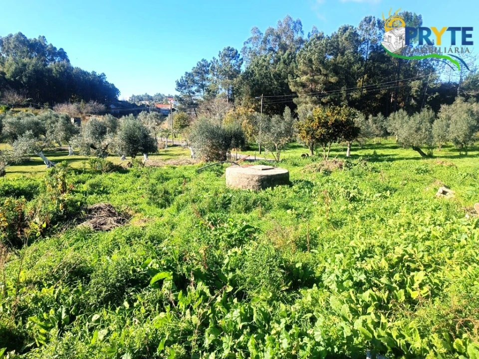 Moradia T5 para Venda em Cabeçudo Foto 40