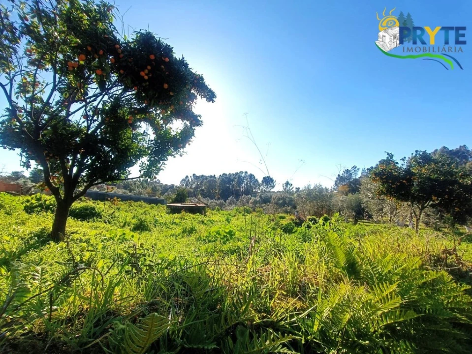 Moradia T5 para Venda em Cabeçudo Foto 42