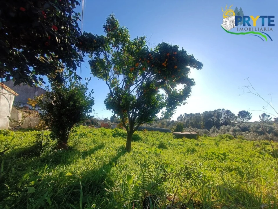 Moradia T5 para Venda em Cabeçudo Foto 43