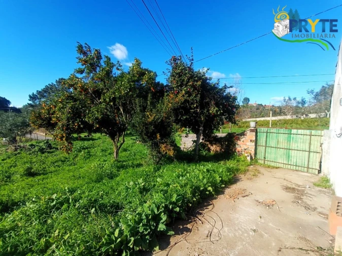 Moradia T5 para Venda em Cabeçudo Foto 38