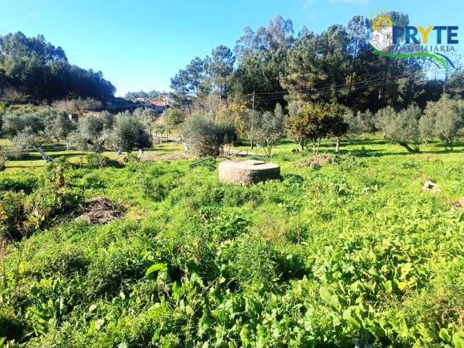 Moradia T5 para Venda em Cabeçudo Foto 40