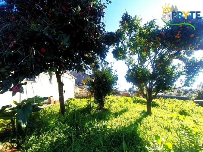 Moradia T5 para Venda em Cabeçudo Foto 44