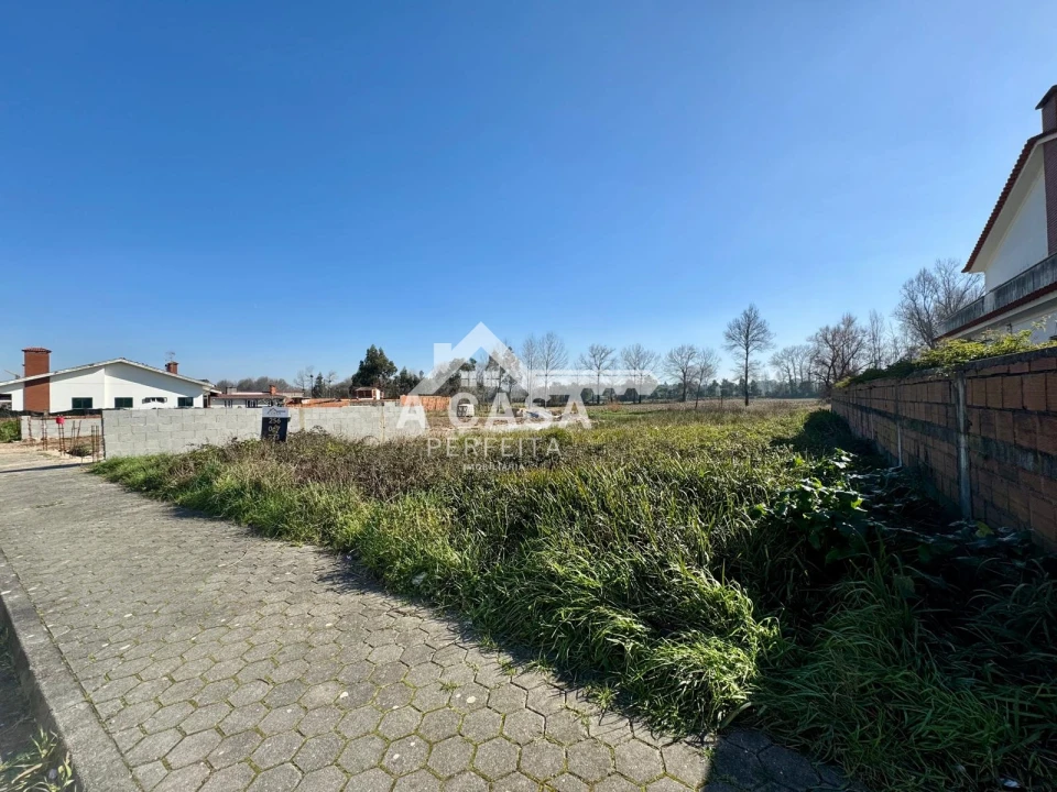 Terreno para Venda em Ovar, São João, Arada e São Vicente de Pereira Jusã Foto 3