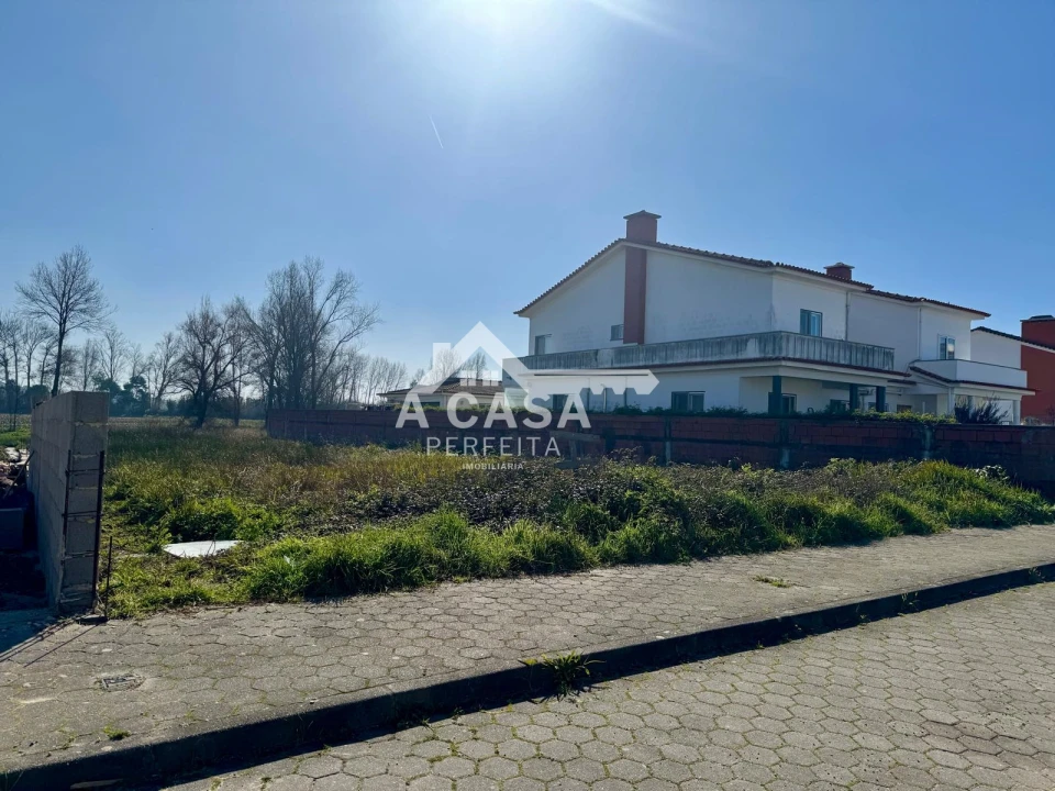 Terreno para Venda em Ovar, São João, Arada e São Vicente de Pereira Jusã Foto 2