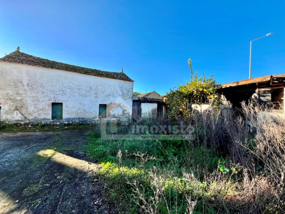 Prédio para Venda em Figueiró dos Vinhos e Bairradas Foto 46
