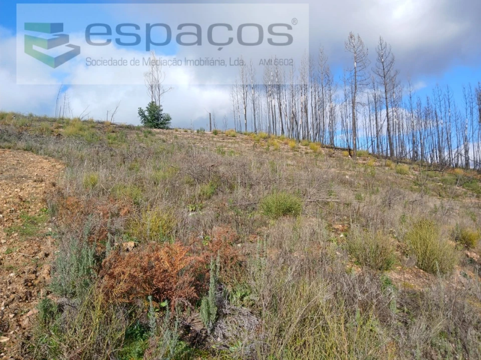 Terreno Agricola ou Rústico para Venda em Santo Andre das Tojeiras Foto 12