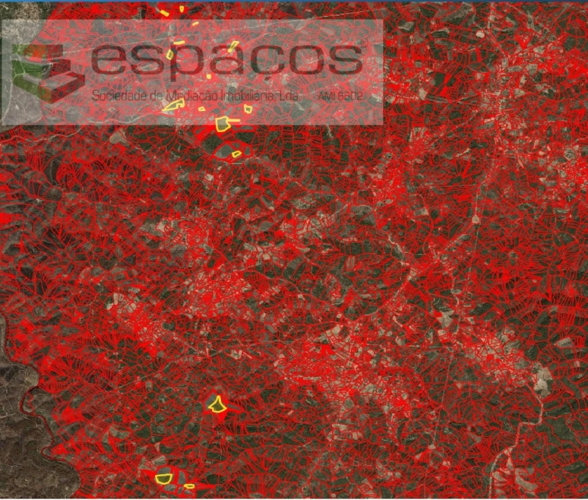 Terreno Agricola ou Rústico para Venda em Santo Andre das Tojeiras Foto 14