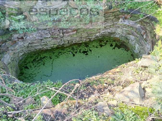 Terreno Agricola ou Rústico para Venda em Santo Andre das Tojeiras Foto 5
