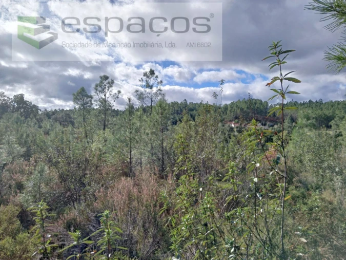Terreno Agricola ou Rústico para Venda em Santo Andre das Tojeiras Foto 11