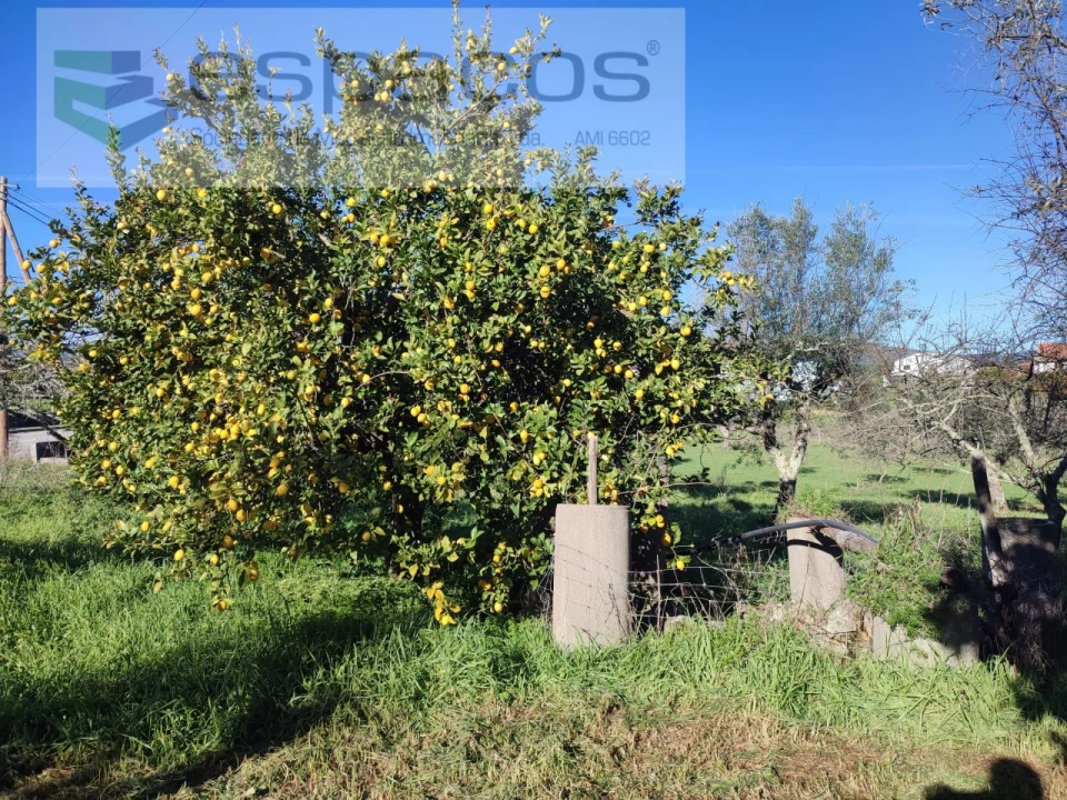 Moradia T4 para Venda em Montes da Senhora Foto 35