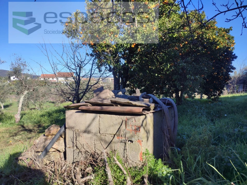 Moradia T4 para Venda em Montes da Senhora Foto 39